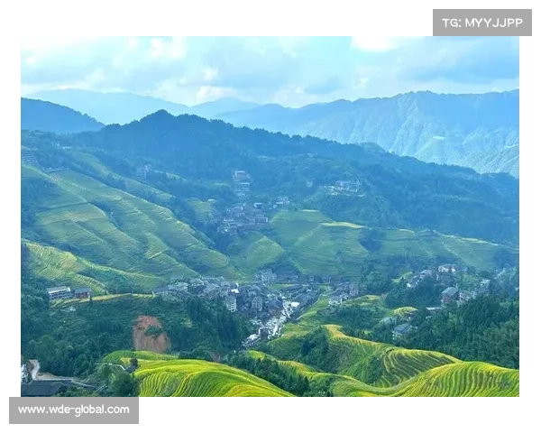 龙脊梯田景区换乘车频次加密至10分钟提升游客出行便利性 龙脊梯田景区换乘车频次加密至10分钟提升游客出行便利性