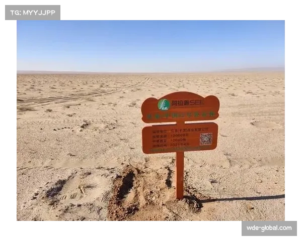 提升球员心理韧性 城市赛事组织方启动新计划